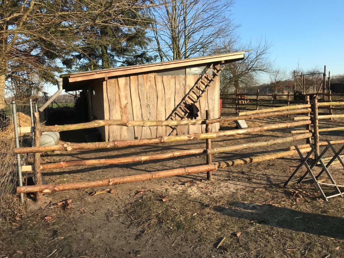 Landhaus Chlosta Buttelkow Zewnętrze zdjęcie